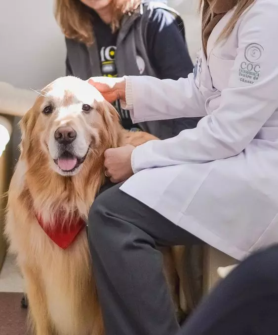 Terapia Assistida com Animais