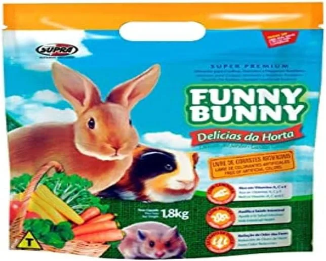 funny bunny: pequenos roedores 