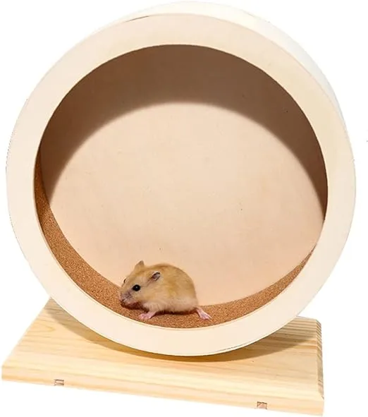 roda hamster: produtos úteis